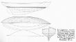 VI 1935 Tapken.Beelitz linesplan.jpg